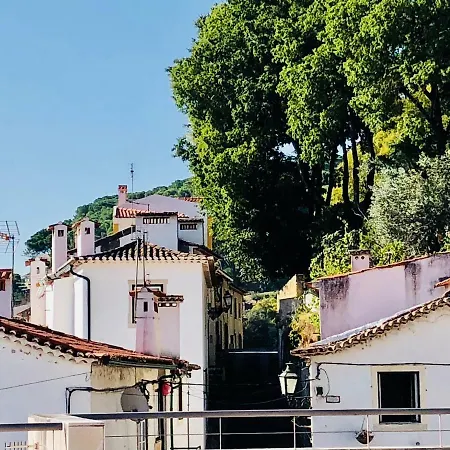 Pe Do Castelo * Tomar